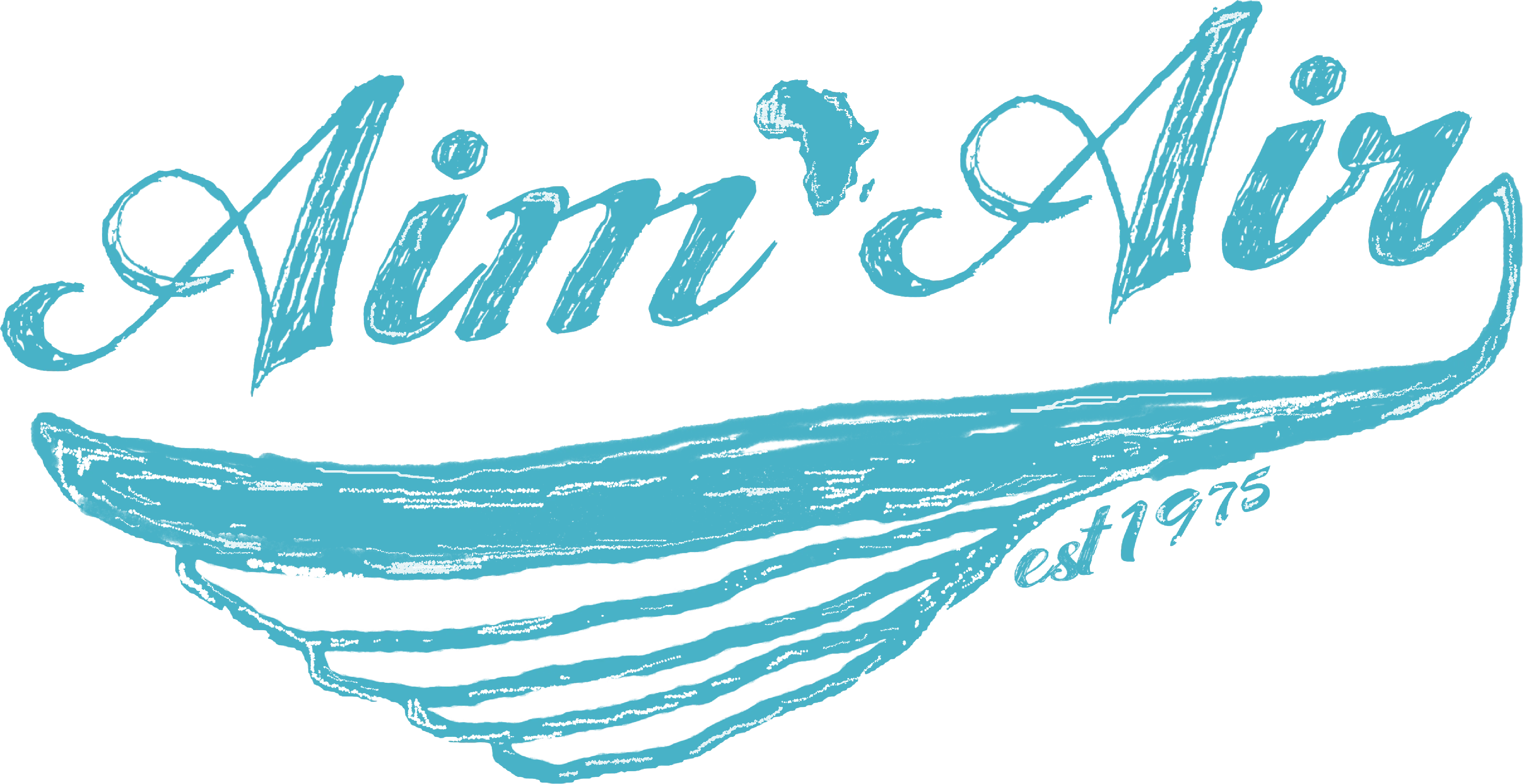 AIM AIR Vintage T (Womens)