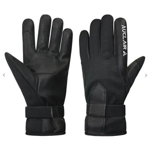 Auclair Lillehammer Glove (women's)