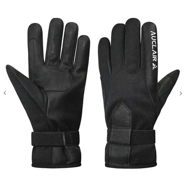 Auclair Lillehammer Glove (women's)