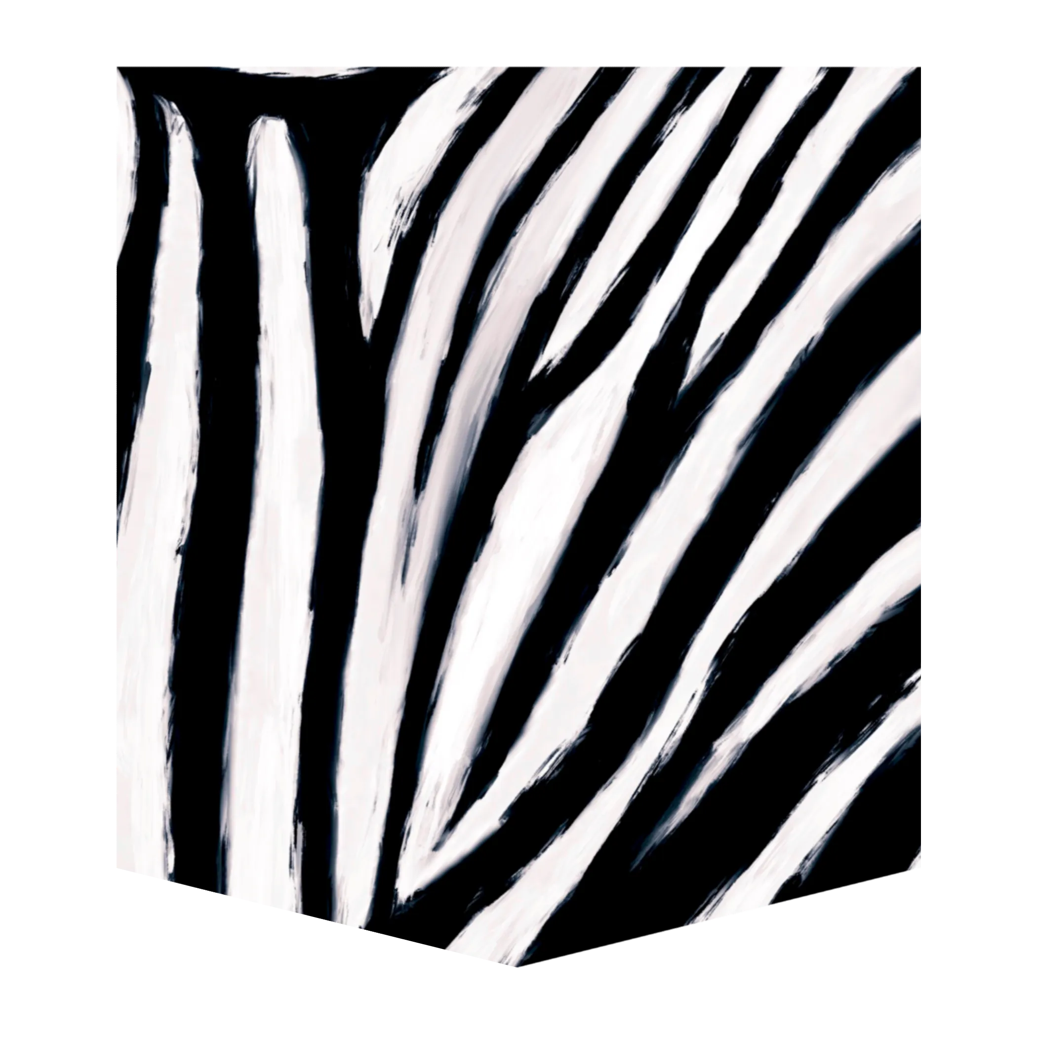 Burchells Zebra Women's Pocket Tee
