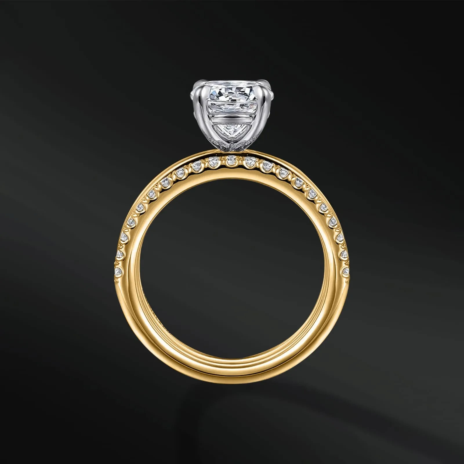 Cosmic Vows - Women's Ring Set | Muonionalusta Meteorite Engagement Ring | 1.3 ct Certified Moissanite