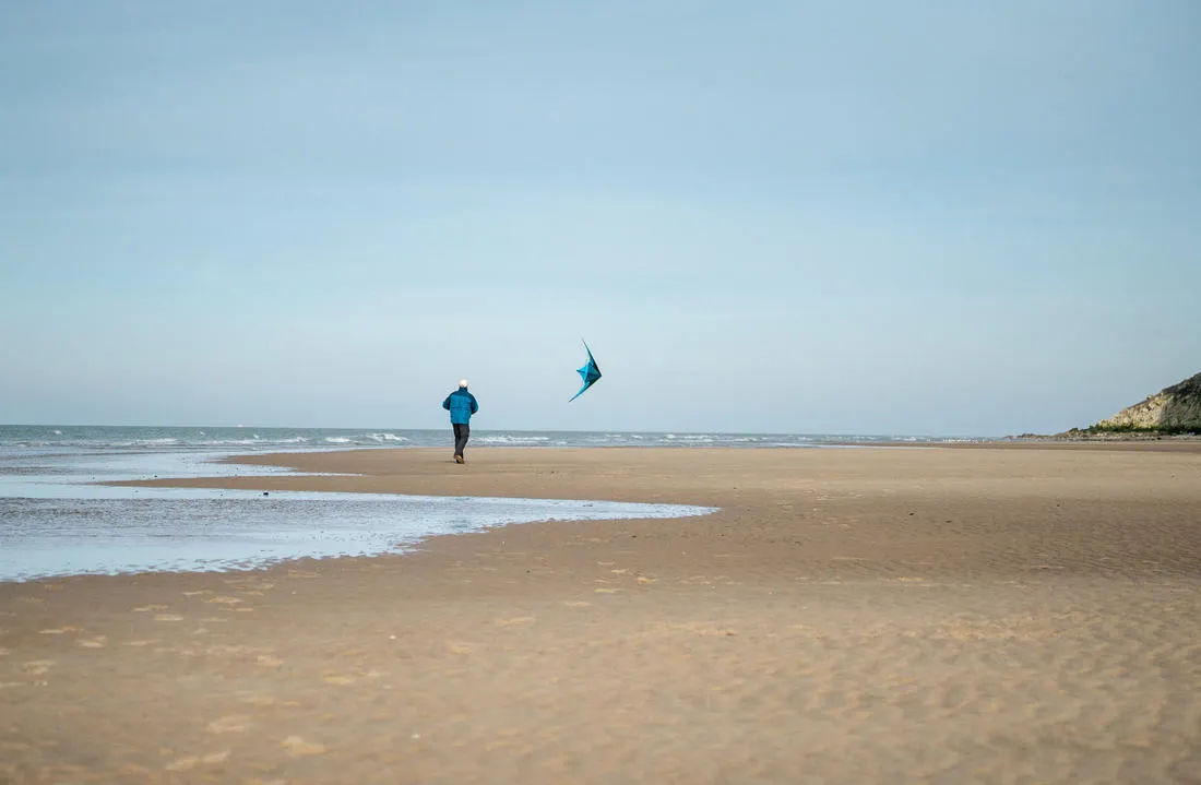 FYF 500 Versatile Stunt Kite Carbon