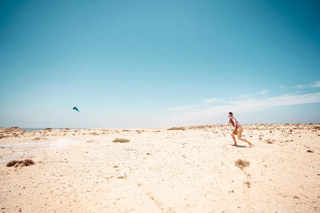 FYF 500 Versatile Stunt Kite Carbon