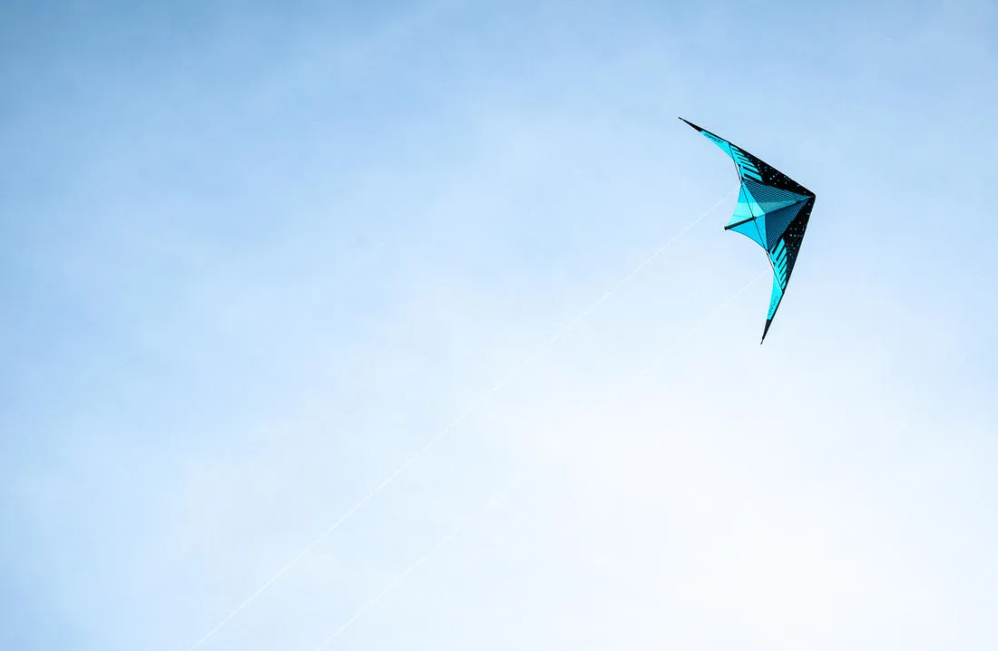 FYF 500 Versatile Stunt Kite Carbon