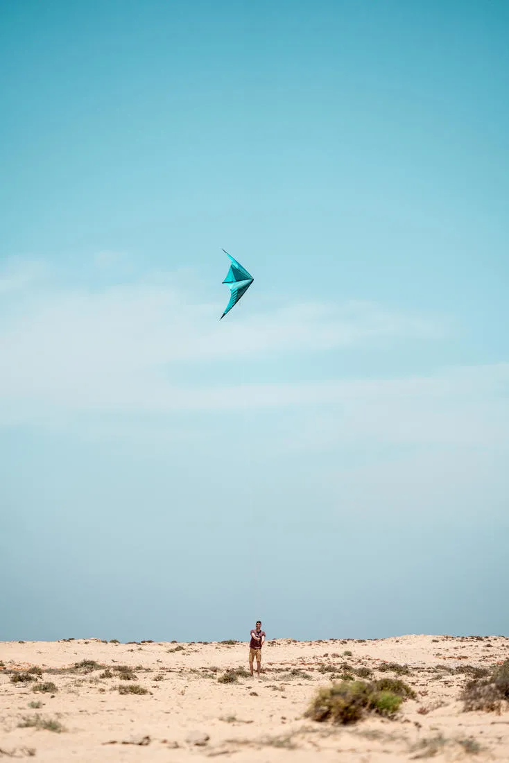 FYF 500 Versatile Stunt Kite Carbon