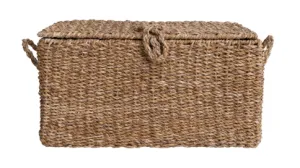 HAND WOVEN SEAGRASS WIRE FRAMED TRUNK-LARGE