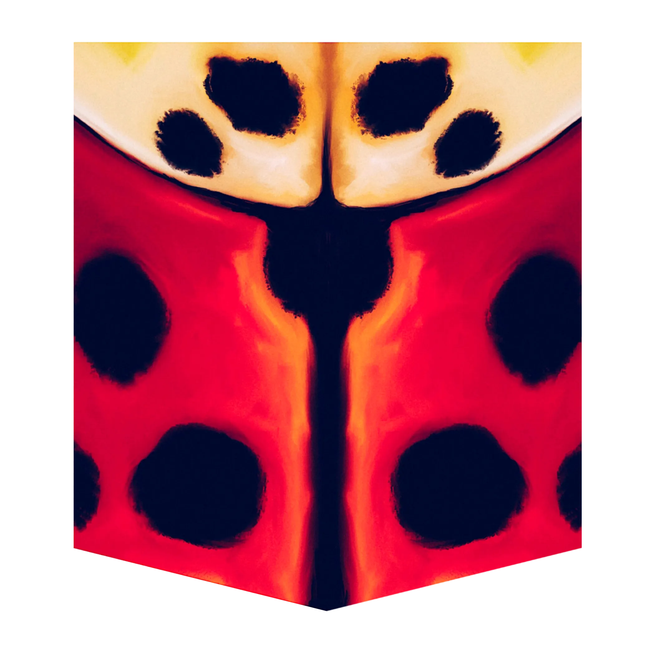 Lady Beetle Women's Pocket Tee