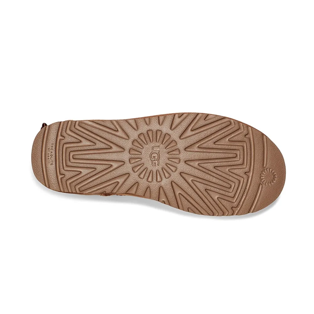 Mini Bailey Bow II (Chestnut)