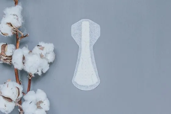 Natracare Panty Liners