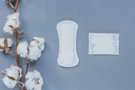 Natracare Panty Liners