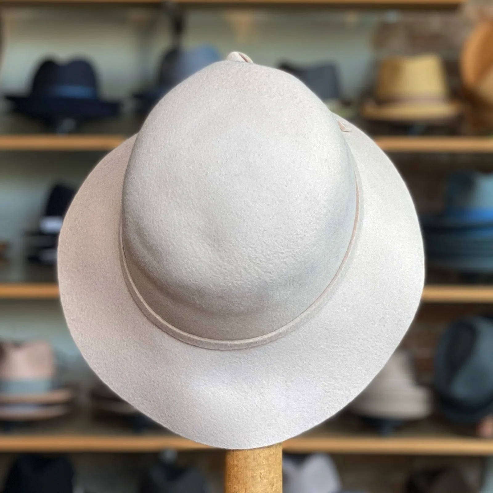 Sciacco Cloche