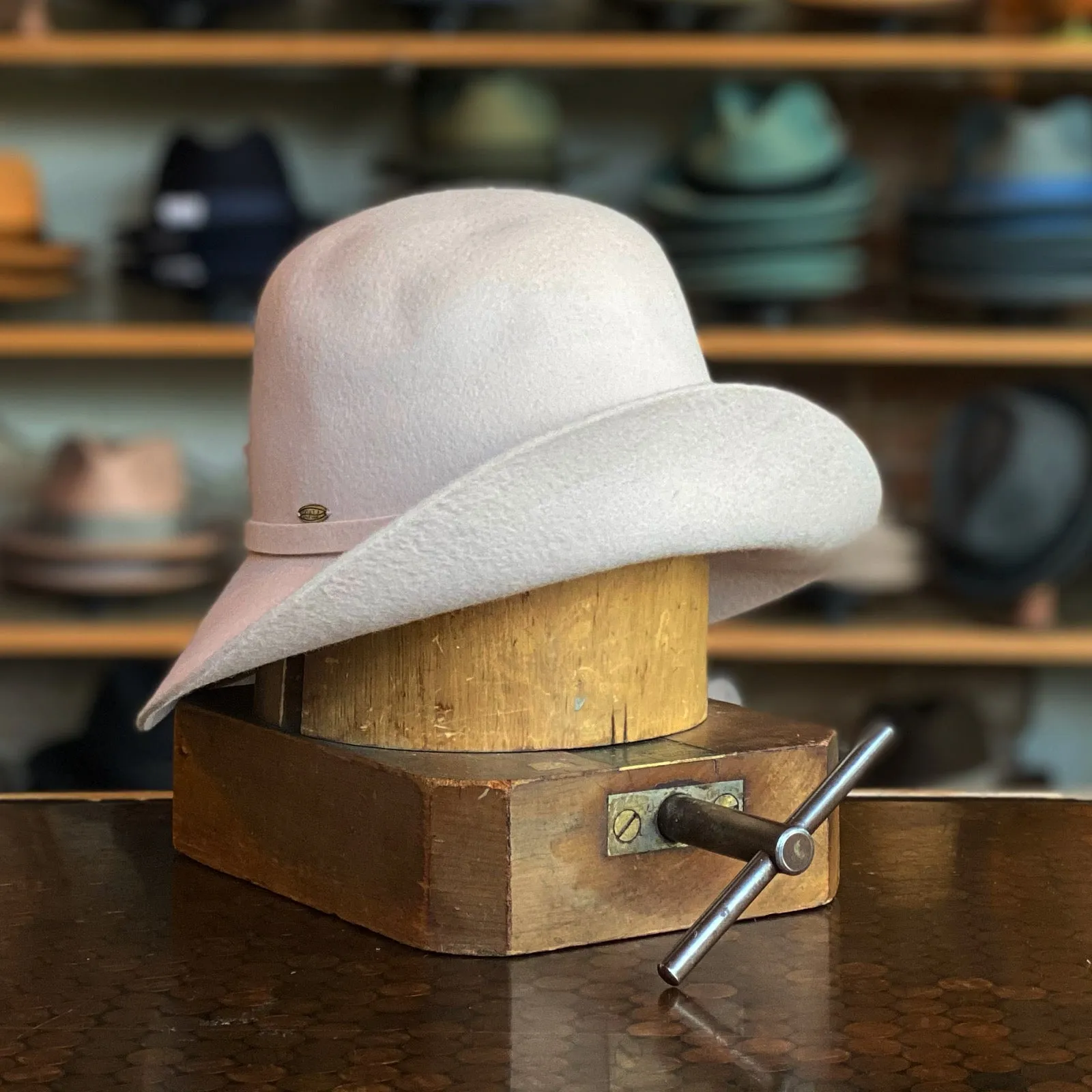 Sciacco Cloche