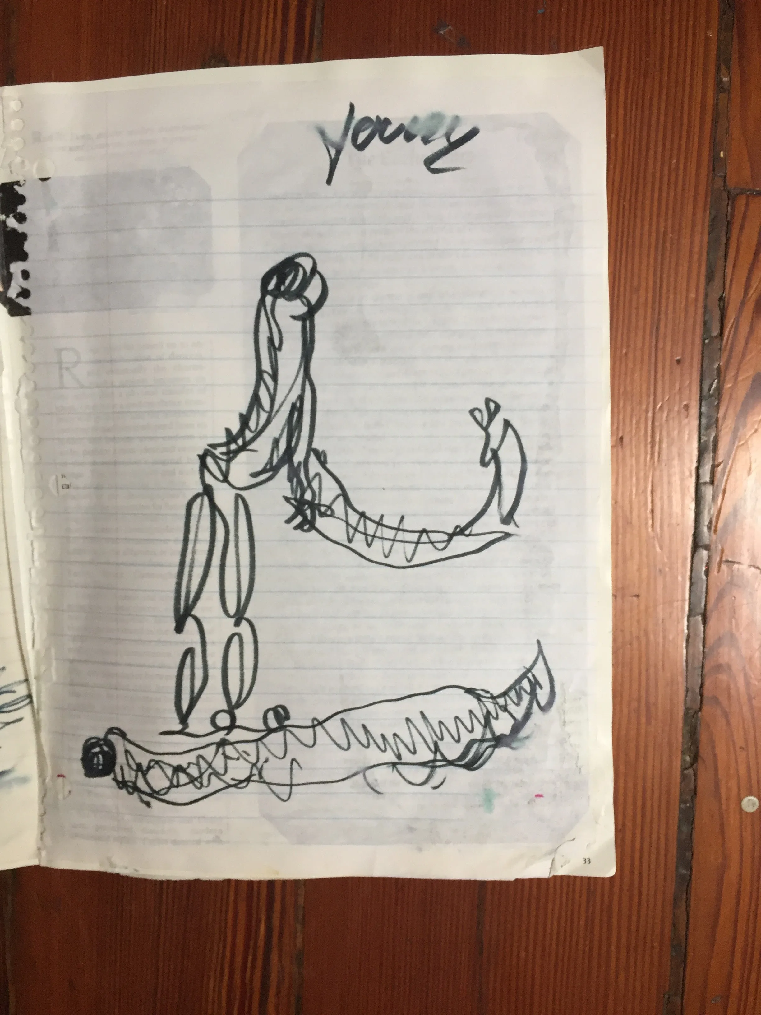 SOLD - Purvis Young Book