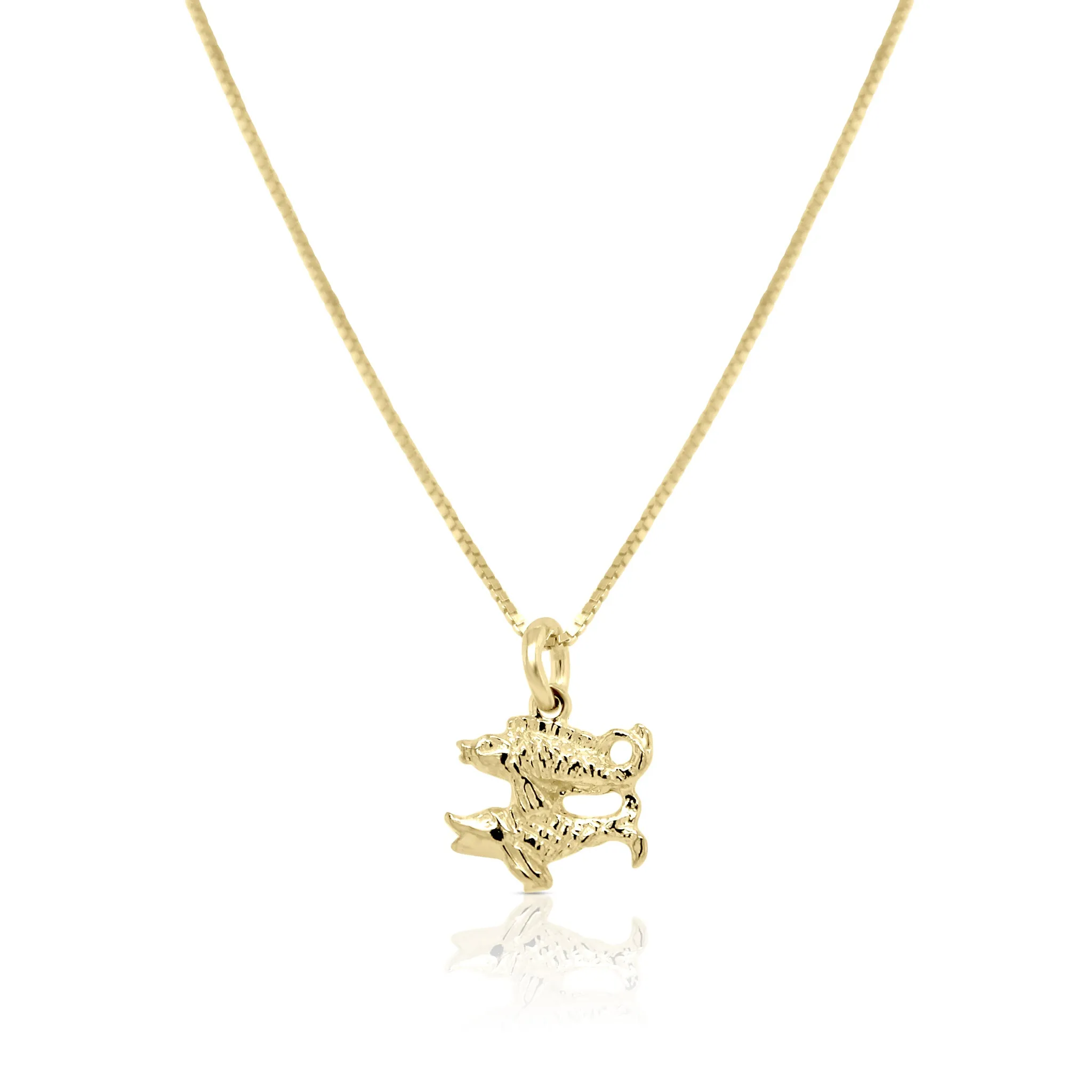 Star Sign Necklace | Pisces