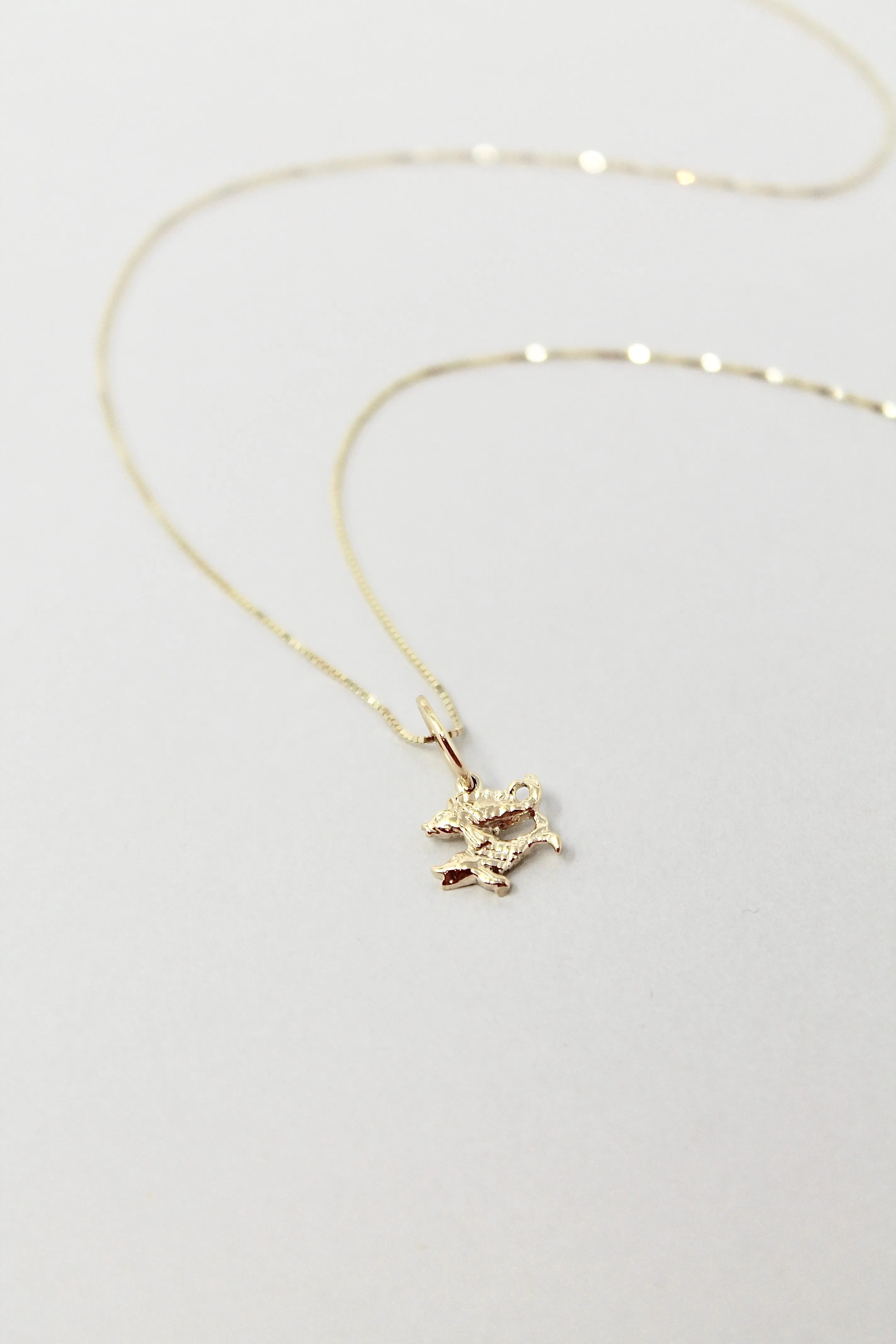 Star Sign Necklace | Pisces