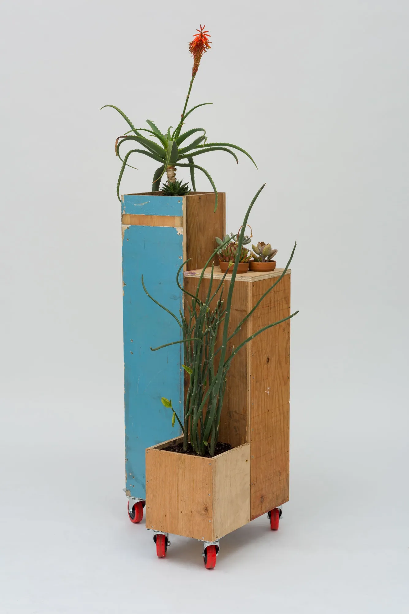 Stephen Neidich, "Planter # 3"