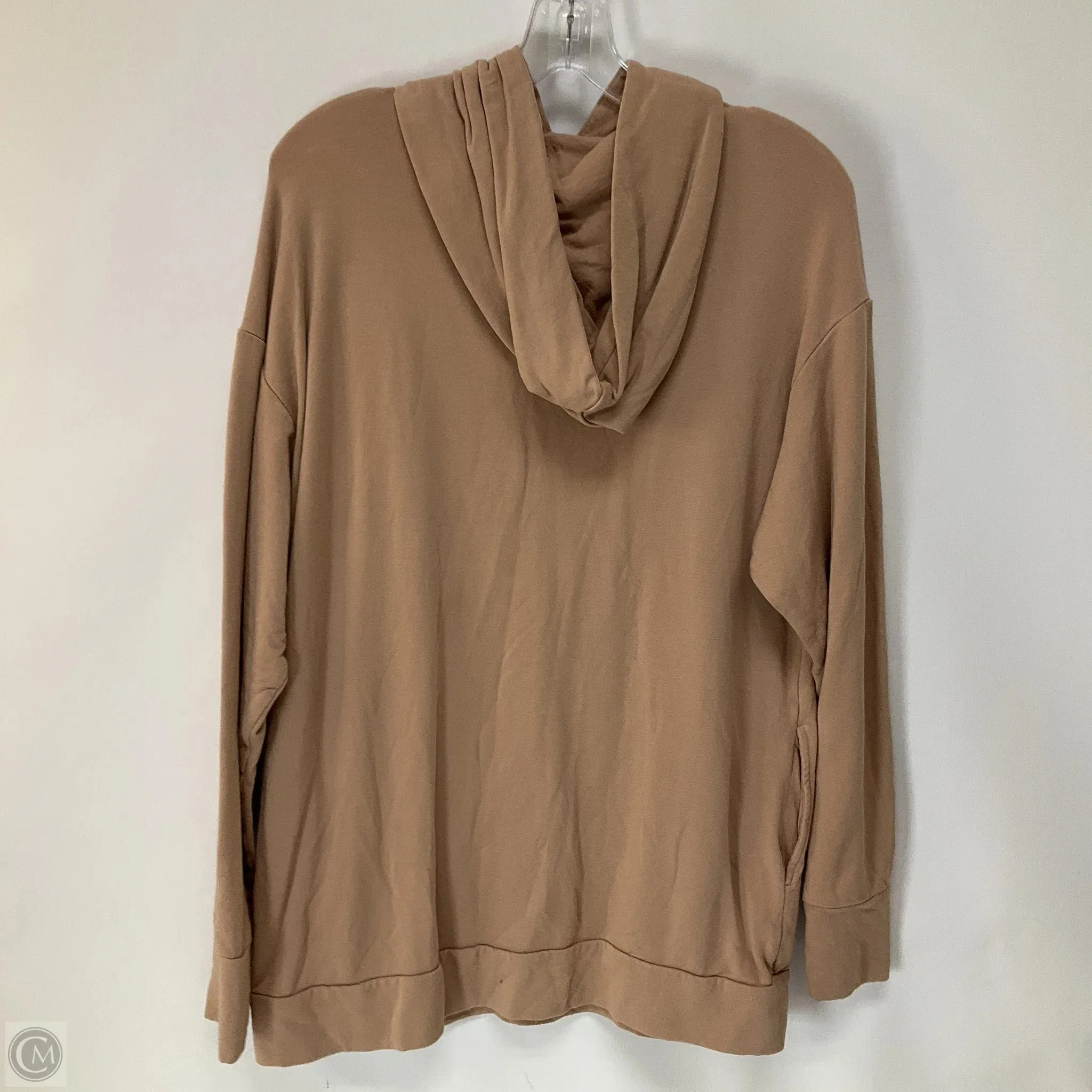 Sweatshirt Hoodie By Aerie In Tan, Size: S