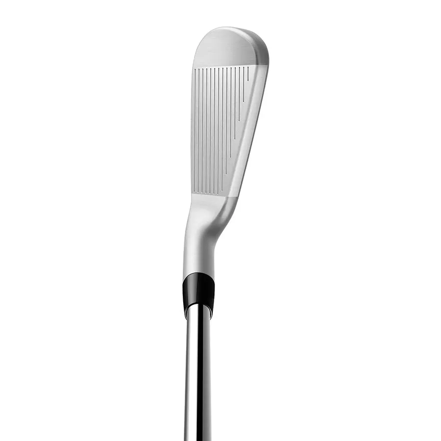 TaylorMade P790 Irons- Steel