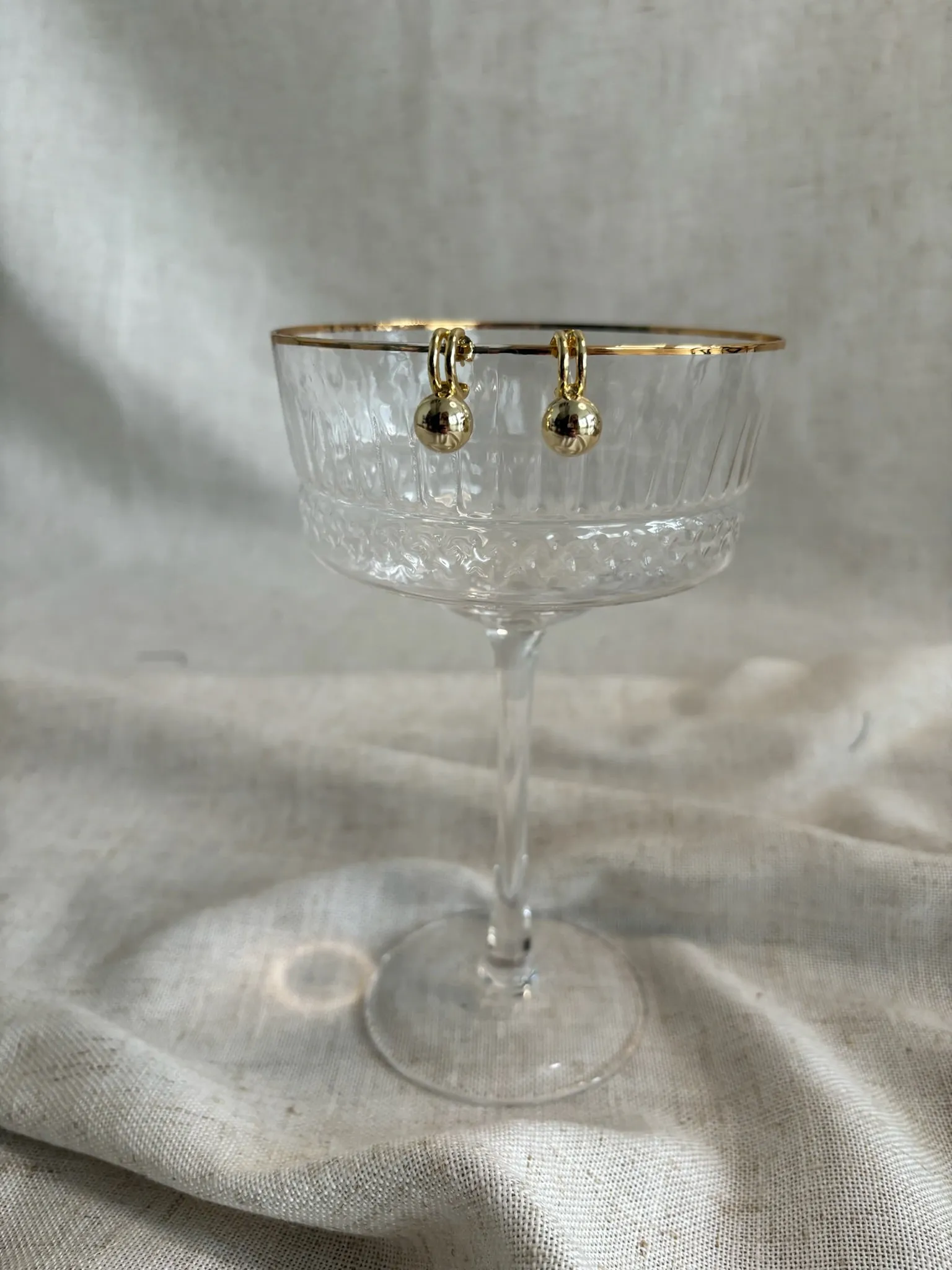 The Roberts Hoop Earring - Gold