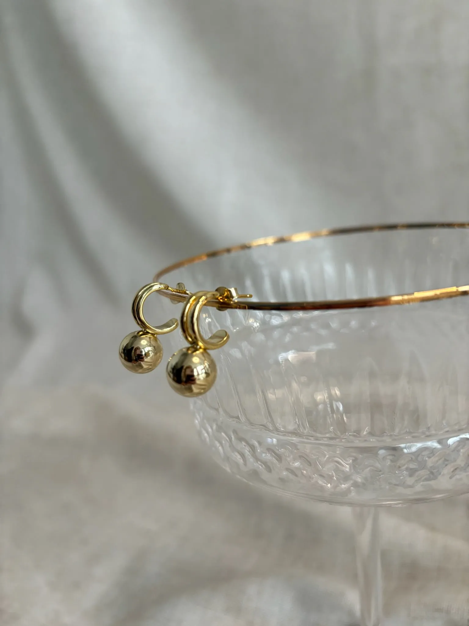 The Roberts Hoop Earring - Gold