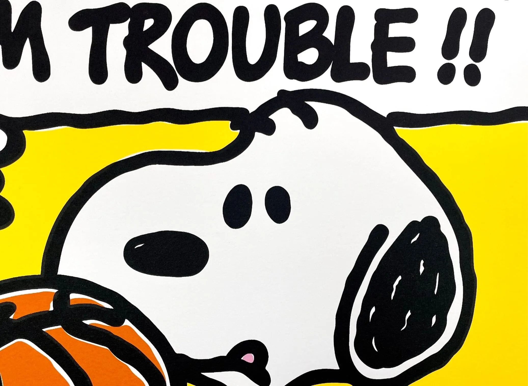 Trouble!! (Ice Cube)