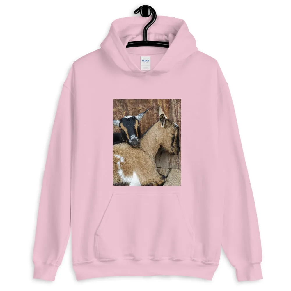 Women's Pullover Hoodie – Cozy, Stylish & Versatile